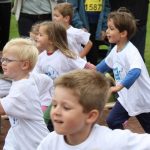 Wardenburger Sommerlauf