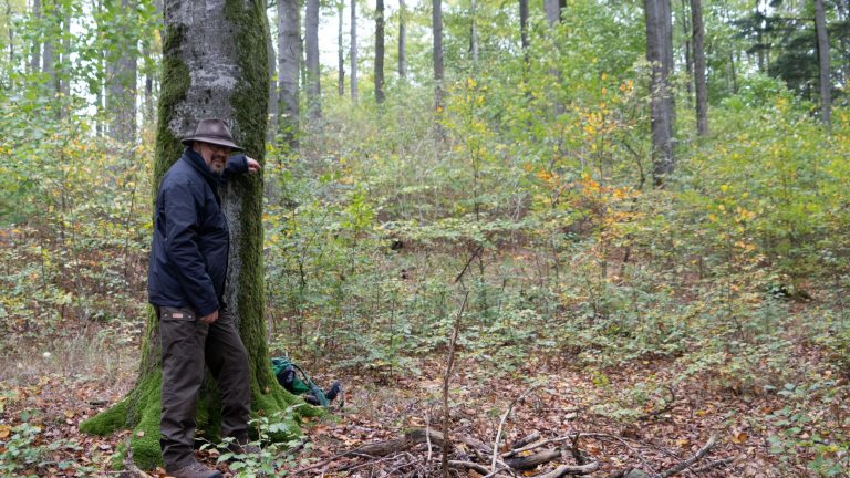 Waldbaden-Sport-Club-Hundsmühlen-Stefan-Klein-03